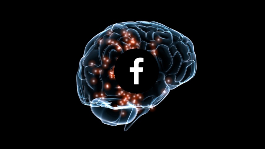 FB neuroscience
